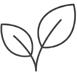 Leaf outline icon